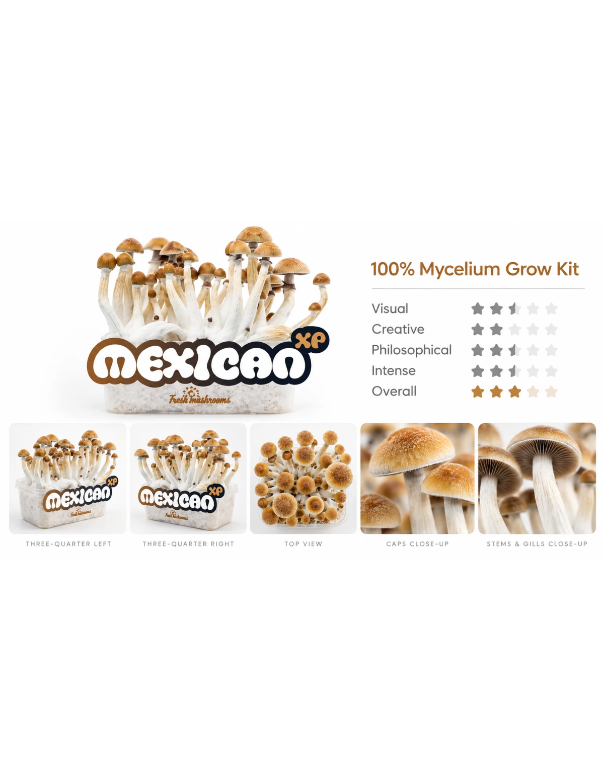 Pilz-Growkit Mexican von Fresh Mushrooms, 1200 ml – Übersicht mit fünf Detailansichten