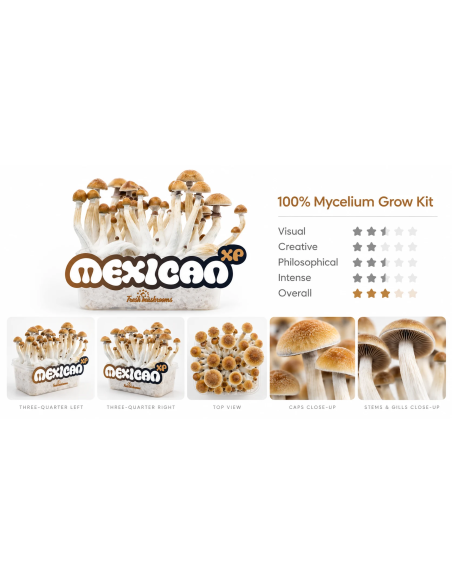 Pilz-Growkit Mexican von Fresh Mushrooms, 1200 ml – Übersicht mit fünf Detailansichten