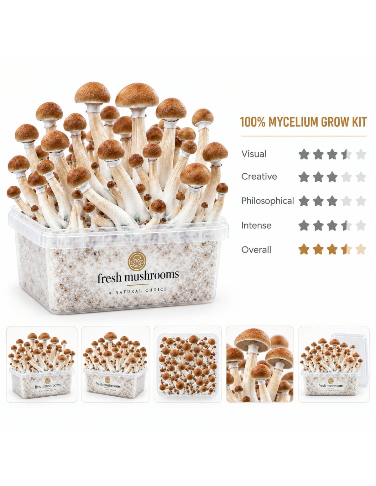 Pilz-Growkit B+ von Fresh Mushrooms, 1200 ml – Hauptansicht und fünf kleine Ansichten