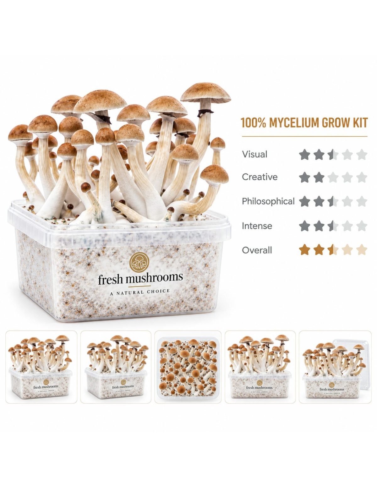 Pilz-Growkit Thai von Fresh Mushrooms, 1200 ml – Hauptansicht und fünf kleine Ansichten des Kits
