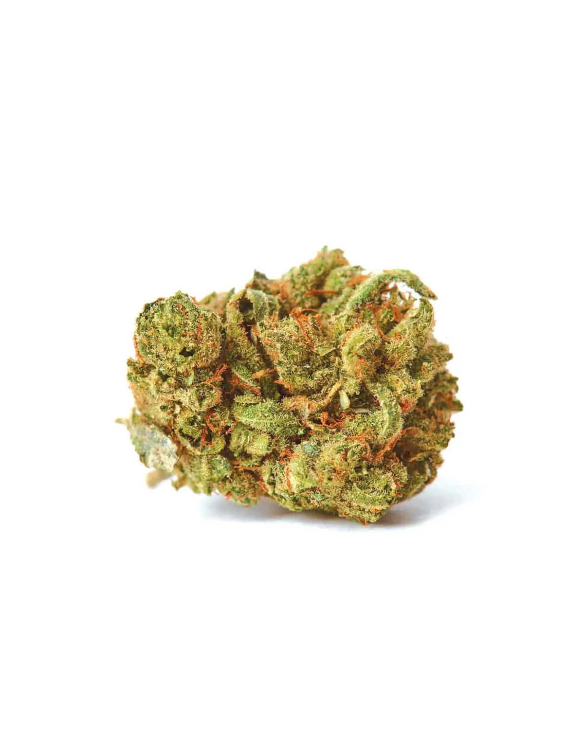 Amnesia Lemon Auto Samen – Just Seeds – getrocknete Cannabisblüte, Illustration