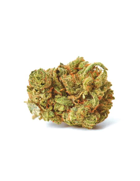 Amnesia Lemon Auto Samen – Just Seeds – getrocknete Cannabisblüte, Illustration