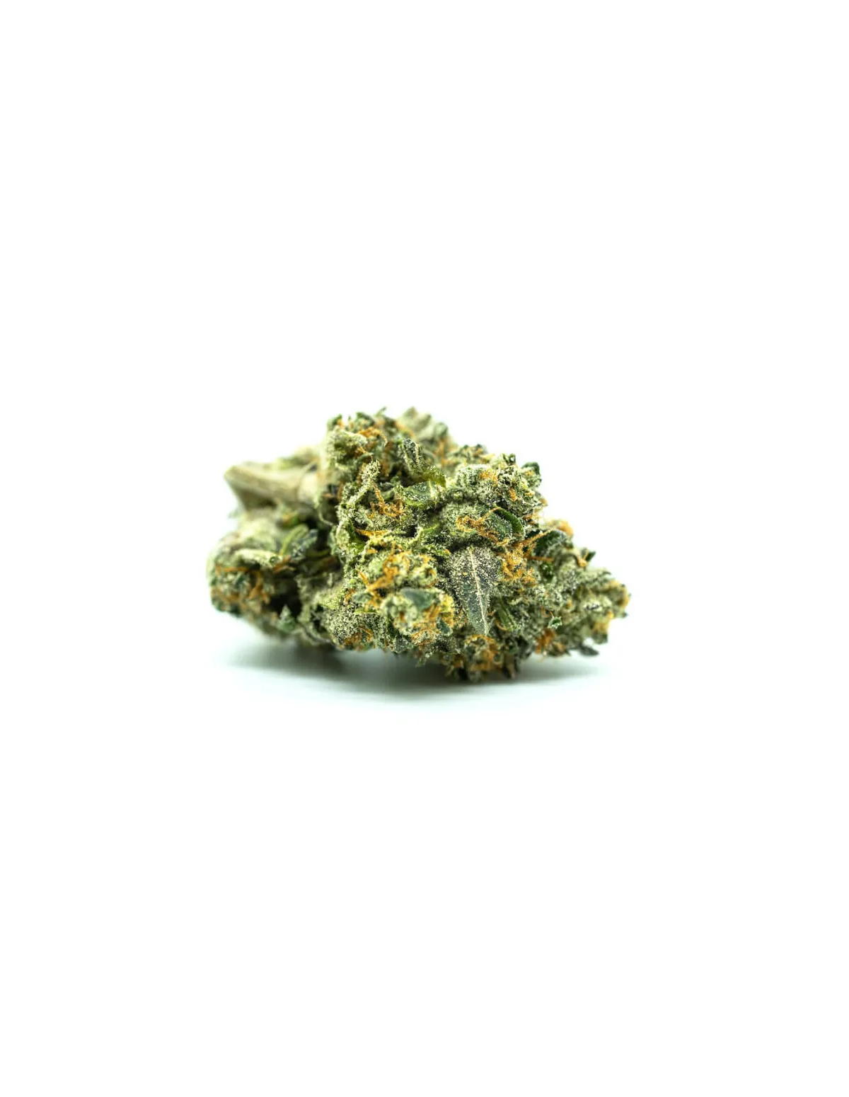 Watermelon Zkittlez Auto Samen – Just Seeds – getrocknete Blüte, Nahaufnahme