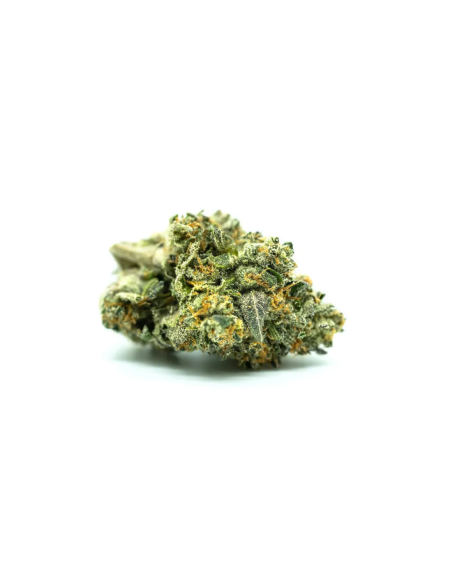 Watermelon Zkittlez Auto Samen – Just Seeds – getrocknete Blüte, Nahaufnahme