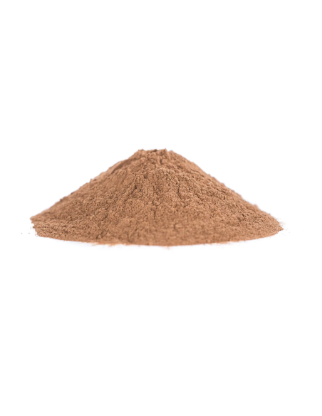 Kolanuss (Cola nitida) – gemahlene Samen – Pulver im Detail