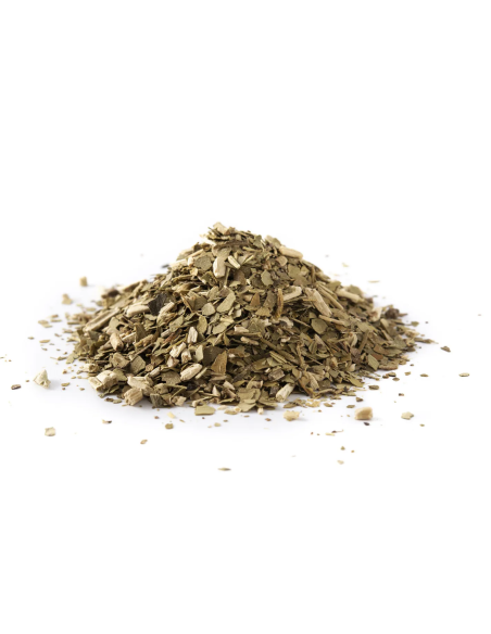 Yerba Mate (Ilex paraguariensis) – fein geschnittene Blätter – Detail der Blätter