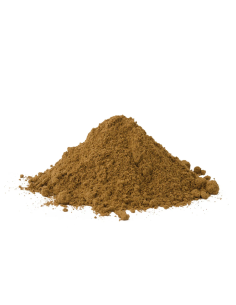 Guarana (Paullinia cupana) – gemahlene Samen aus Brasilien 2