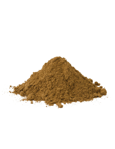 Guarana – Paullinia cupana – Samenpulver in der Nahaufnahme