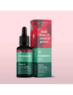 Fünf-Pilze-Extrakt, 30 ml – Foodsporen