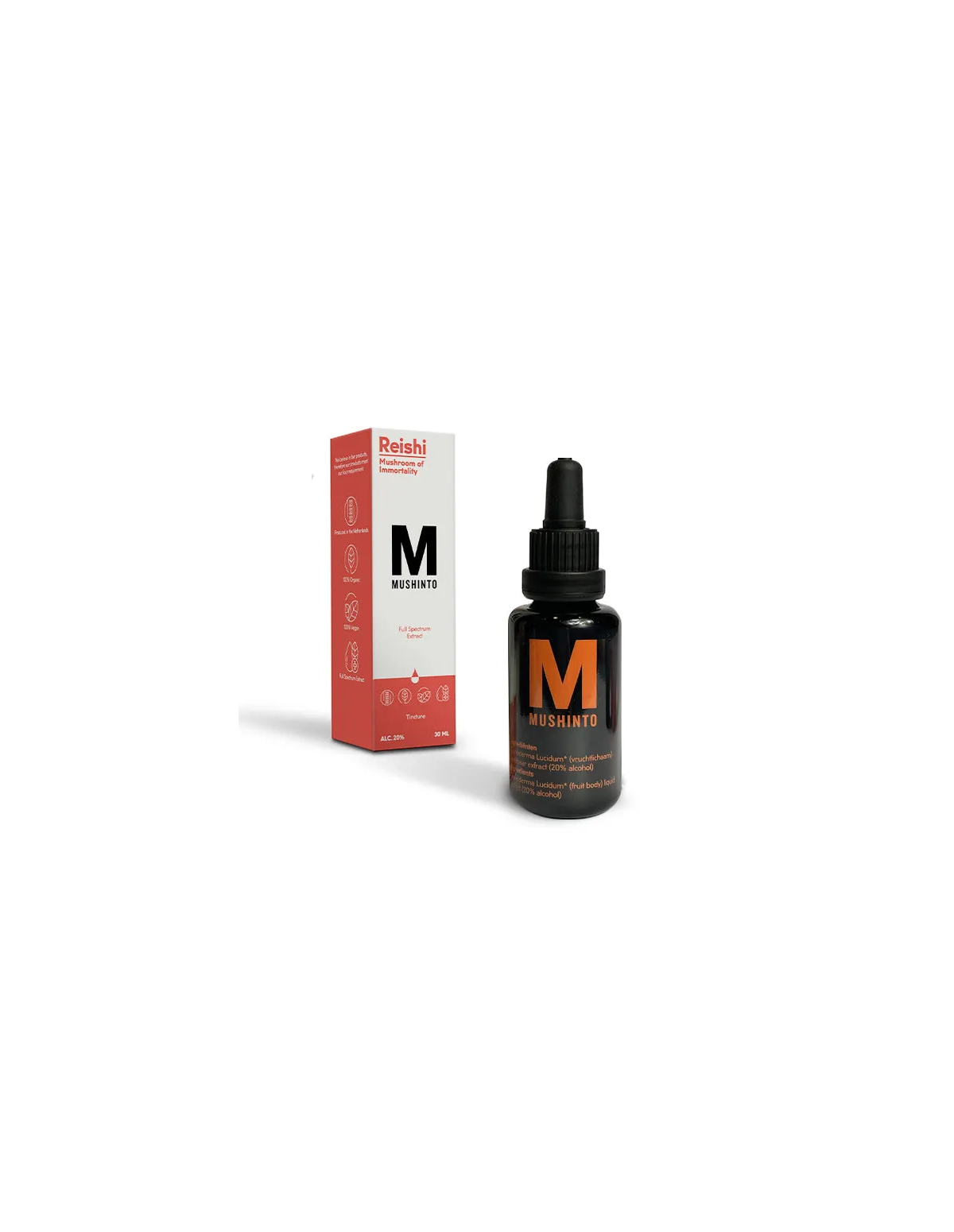 Reishi-Tinktur (Ganoderma lucidum) – Mushinto – 30-ml-Flasche und Schachtel