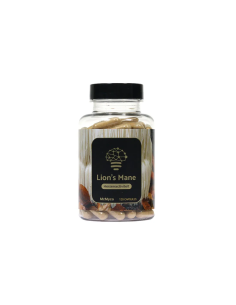 Igel-Stachelbart (Hericium erinaceus) – McMyco, 120 Kapseln