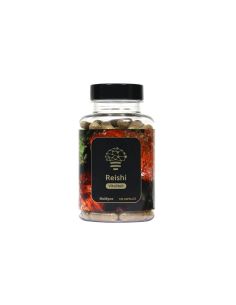 Reishi (Ganoderma lucidum) – McMyco, 120 Kapseln