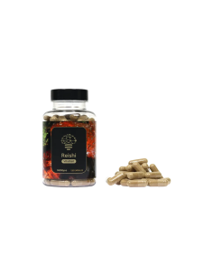 Reishi (Ganoderma lucidum) – McMyco, 120 Kapseln 2