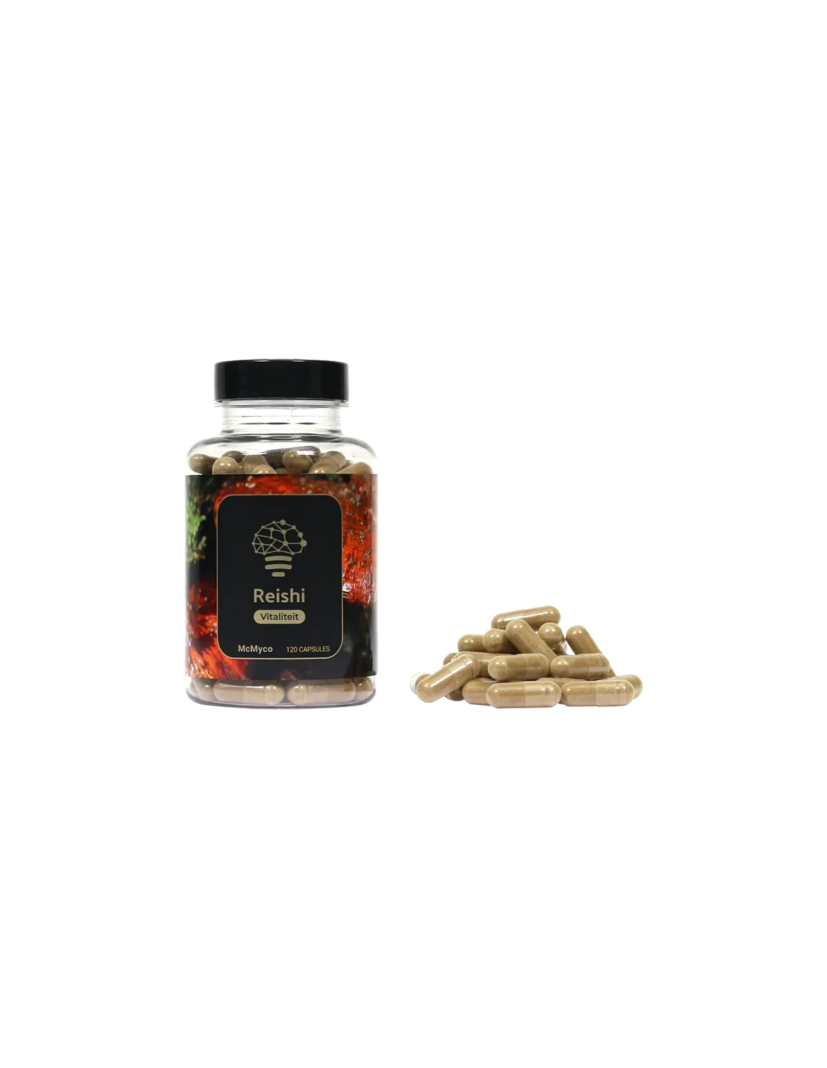 Reishi (Ganoderma lucidum) – McMyco, 120 Kapseln – Dose und lose Kapseln