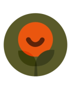 Mulungu – Erythrina mulungu als Beutel & Tinktur | Mycotrop