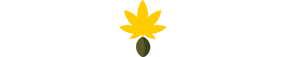 Autoflower-Samen kaufen – 10 Just-Seeds-Sorten | Mycotrop